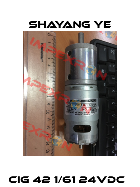 CIG 42 1/61 24VDC   SHAYANG YE