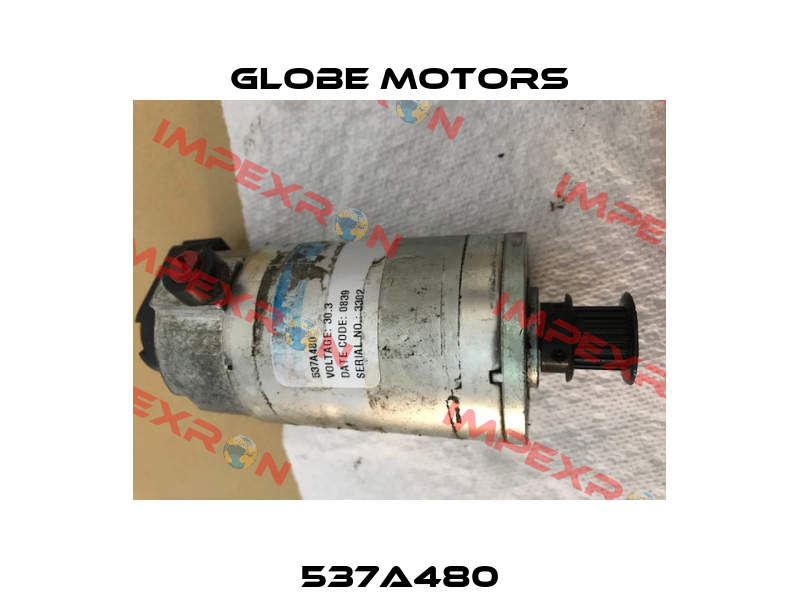 537A480 Globe Motors
