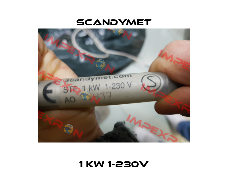 1 KW 1-230V SCANDYMET