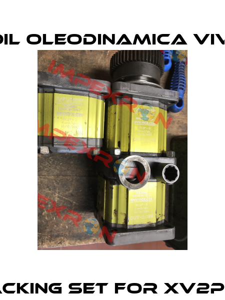 Packing set for XV2P-D  Vivoil Oleodinamica Vivolo