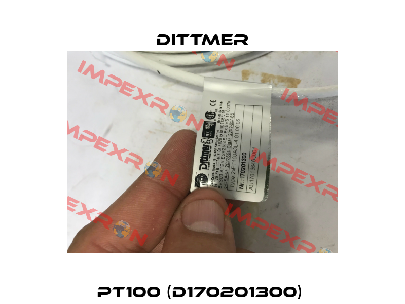 PT100 (D170201300)  Dittmer