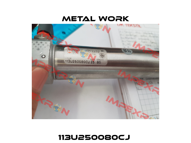 113U250080CJ  Metal Work