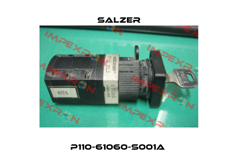 P110-61060-S001A  Salzer