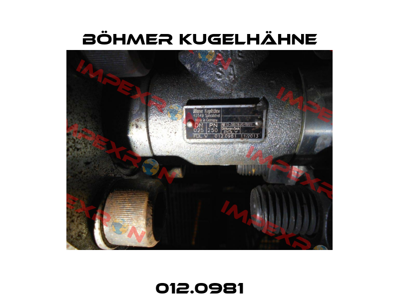 012.0981 Böhmer