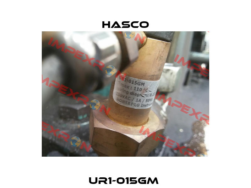 UR1-015GM  Hasco