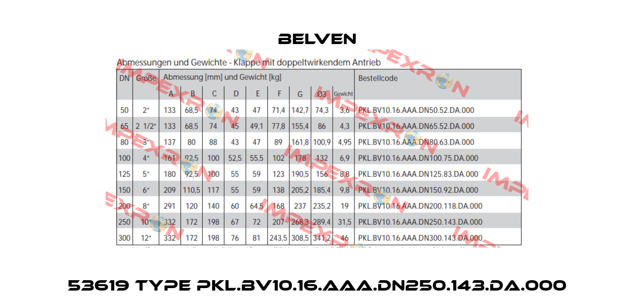 53619 Type PKL.BV10.16.AAA.DN250.143.DA.000 Belven