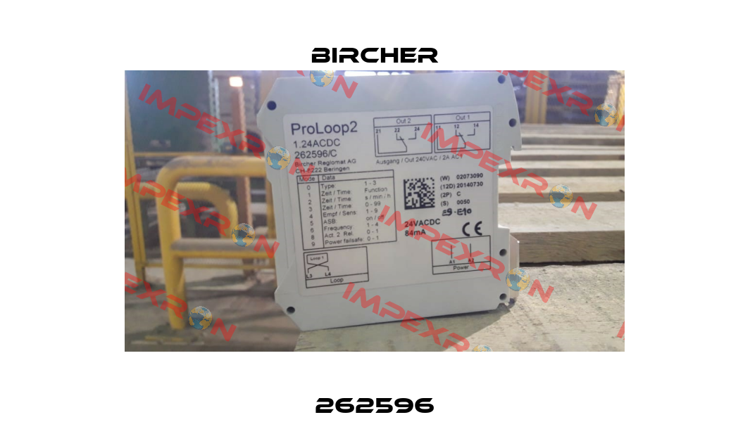 262596 Bircher