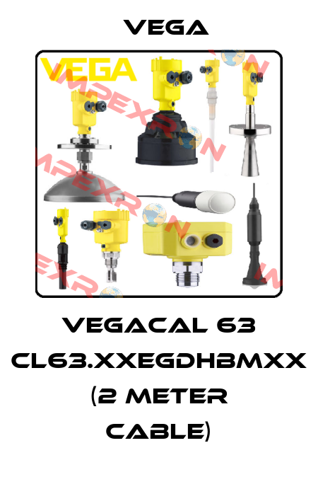 VEGACAL 63 CL63.XXEGDHBMXX (2 meter cable) Vega