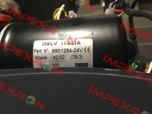 119RIE131 OSLV Italia