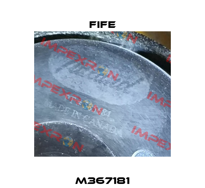 M367181 Fife