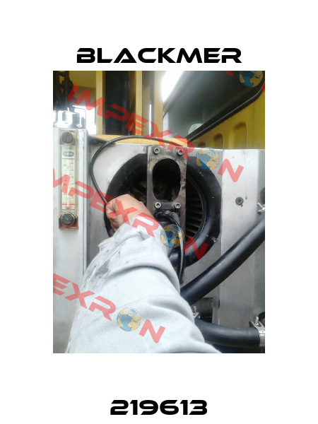 219613 Blackmer