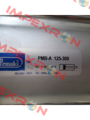 Y-69-041 Pemaks