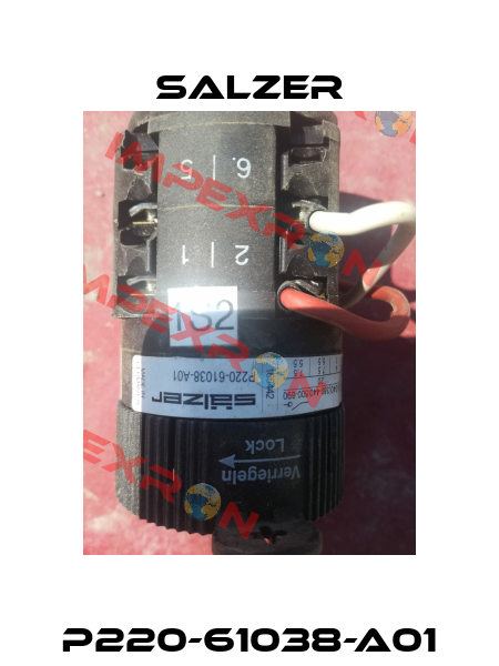 P220-61038-A01 Salzer
