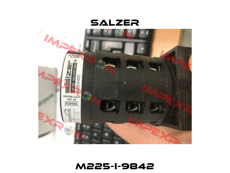 M225-I-9842 Salzer