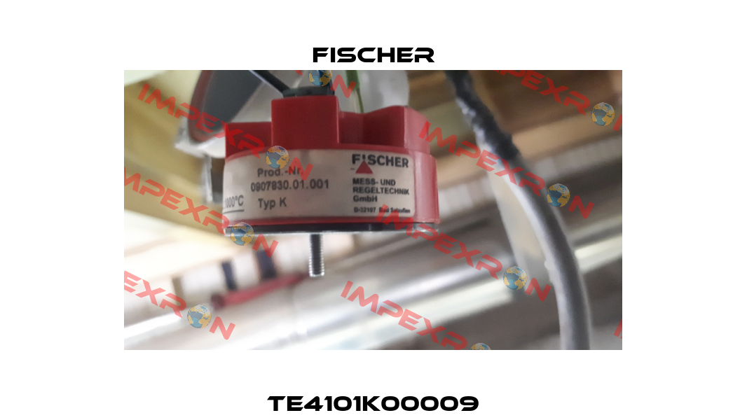 TE4101K00009 Fischer