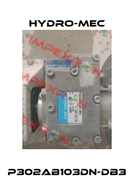 P302AB103DN-DB3 Hydro-Mec