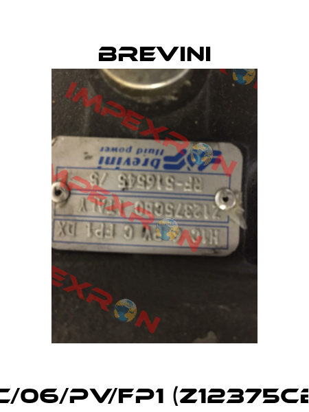 H1C/06/PV/FP1 (Z12375CB0) Brevini