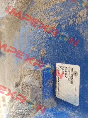4083751 Motovario