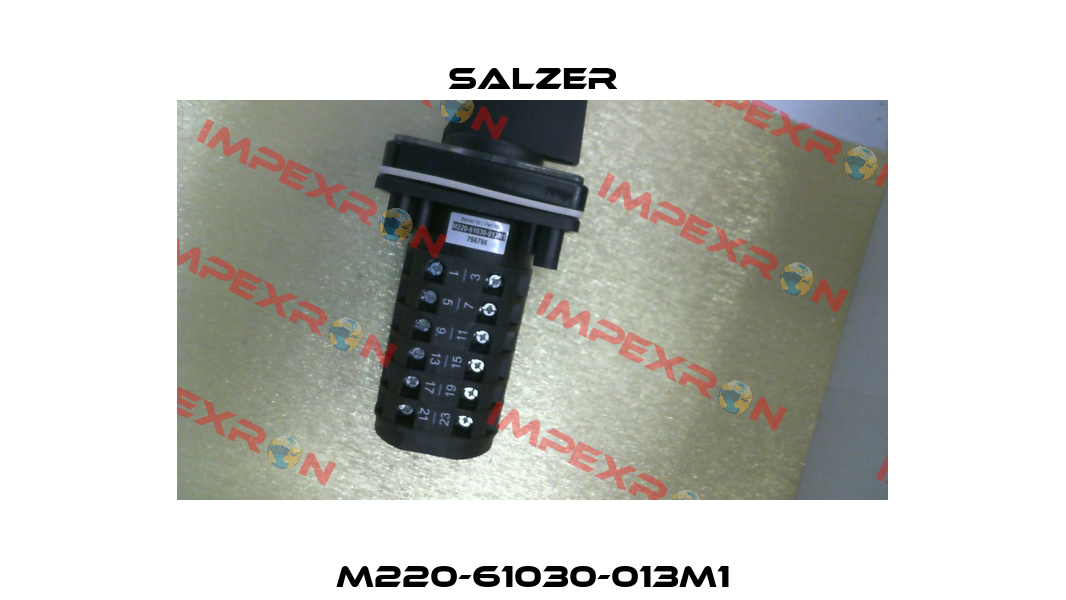 M220-61030-013M1 Salzer