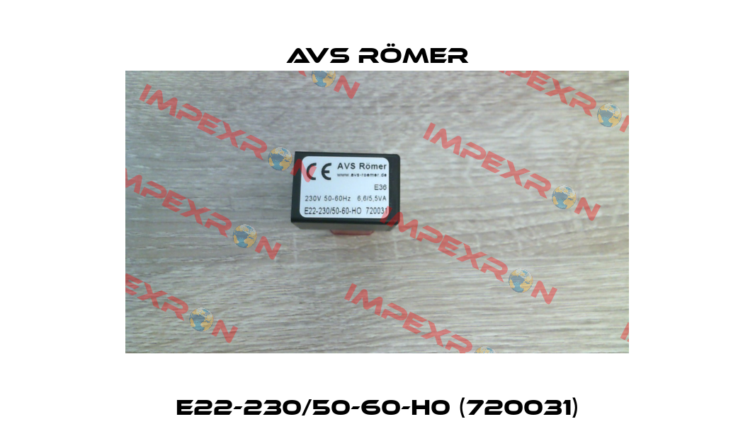 E22-230/50-60-H0 (720031) Avs Römer