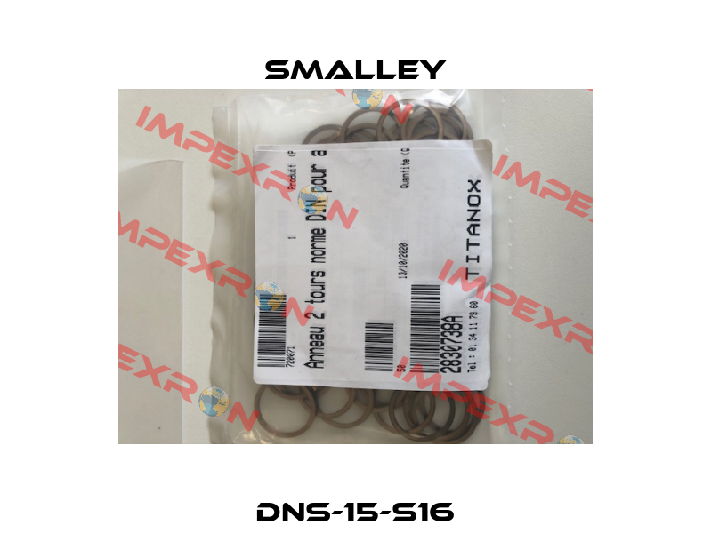 DNS-15-S16 SMALLEY