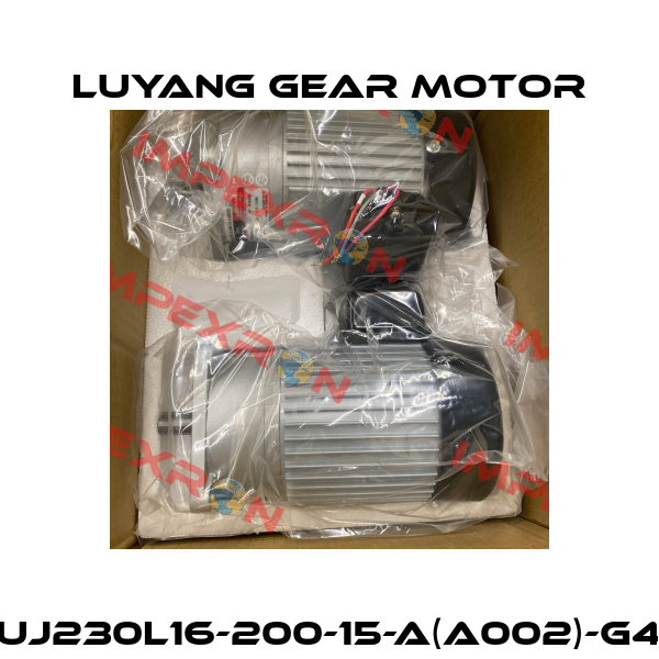 UJ230L16-200-15-A(A002)-G4 Luyang Gear Motor