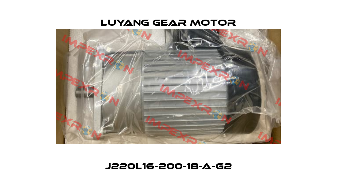 J220L16-200-18-A-G2 Luyang Gear Motor