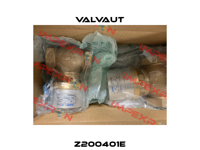 Z200401E Valvaut