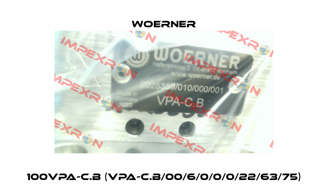 100VPA-C.B (VPA-C.B/00/6/0/0/0/22/63/75) Woerner