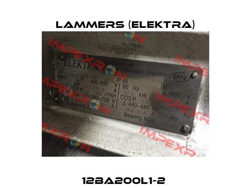 12BA200L1-2  Lammers (Elektra)