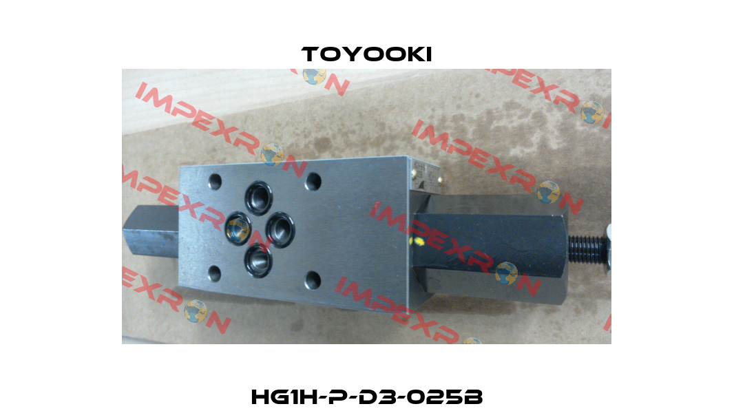 HG1H-P-D3-025B Toyooki