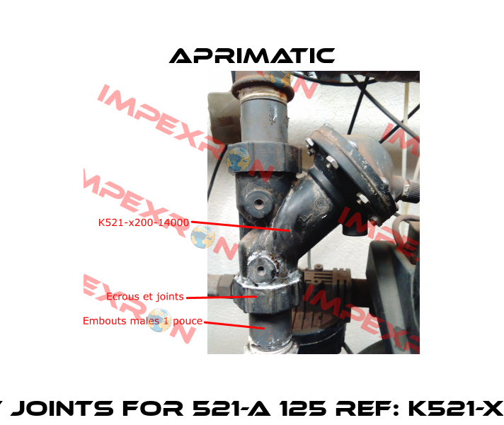 Ecrous et joints for 521-A 125 REF: K521-X200-14000  Aprimatic