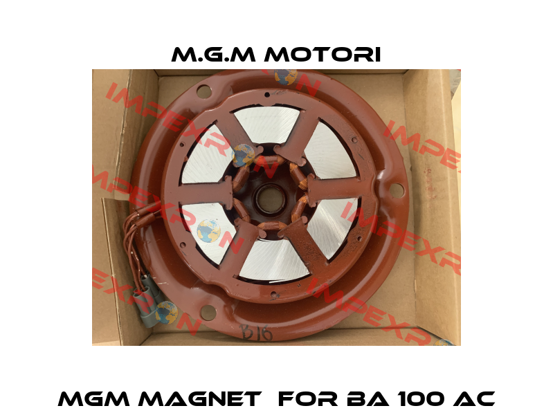MGM Magnet  for BA 100 AC M.G.M MOTORI