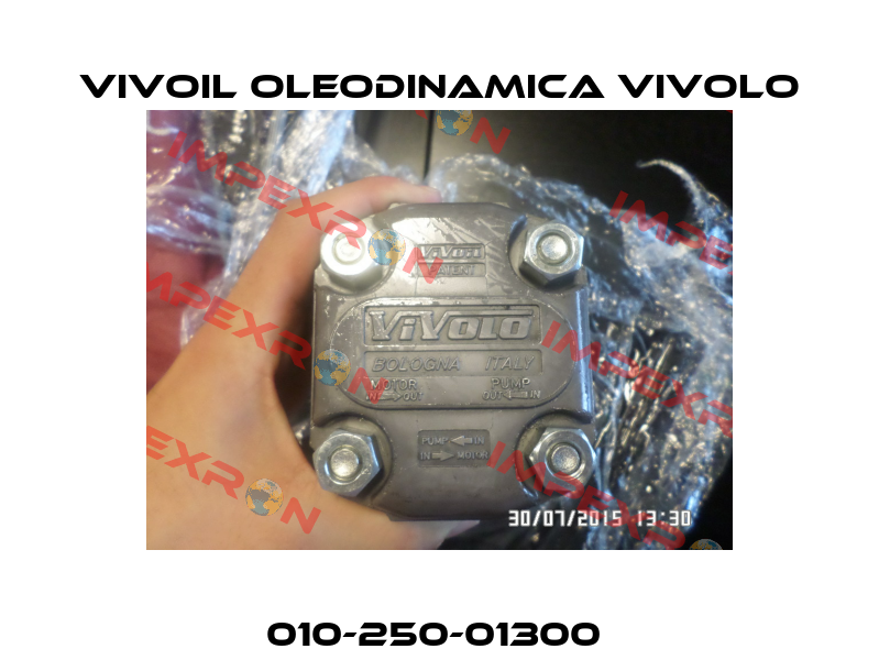 010-250-01300  Vivoil Oleodinamica Vivolo