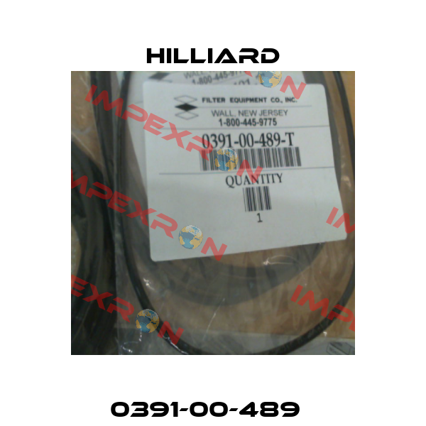0391-00-489Т Hilliard