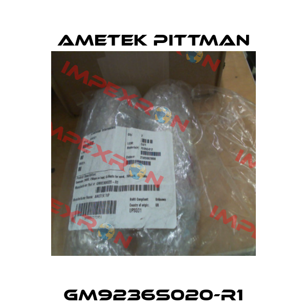 GM9236S020-R1 Ametek Pittman