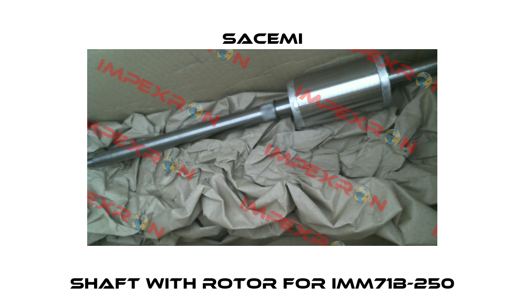 Shaft with rotor for IMM71B-250 Sacemi