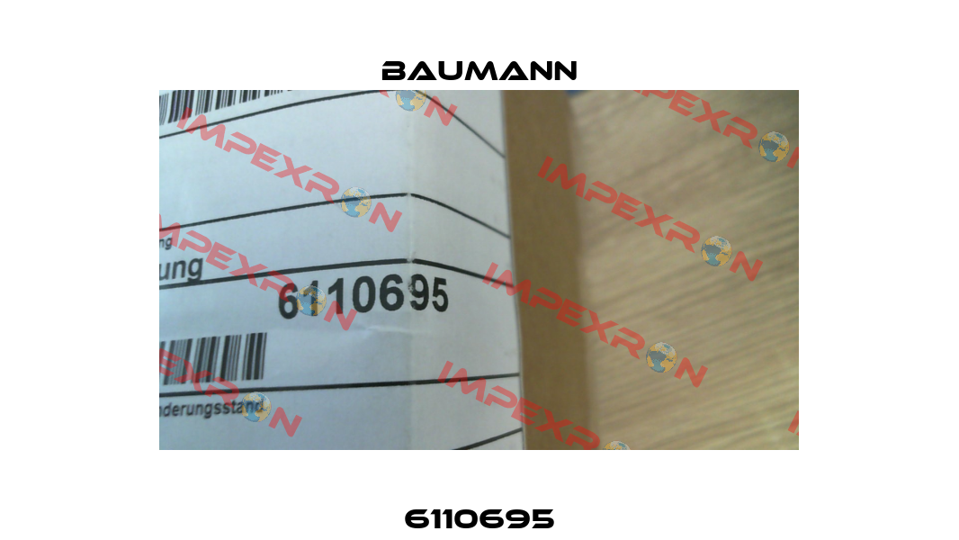 6110695 Baumann