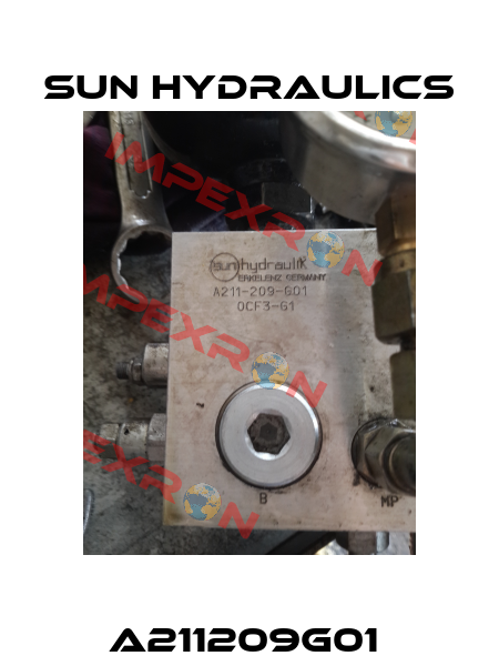 A211209G01  Sun Hydraulics