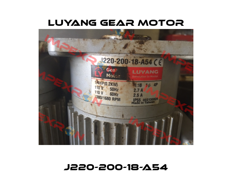 J220-200-18-A54 Luyang Gear Motor