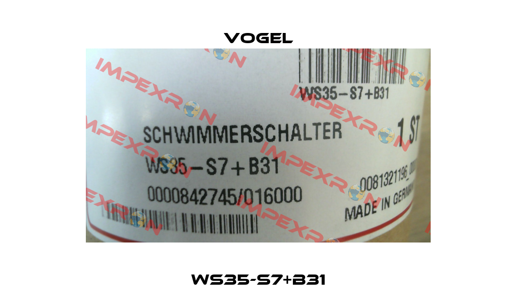 WS35-S7+B31 Vogel