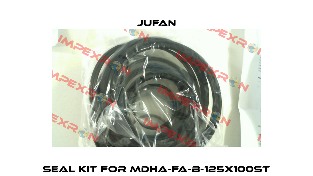 Seal kit for MDHA-FA-B-125x100ST Jufan