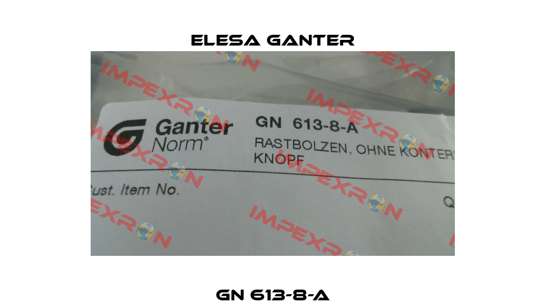 GN 613-8-A Elesa Ganter