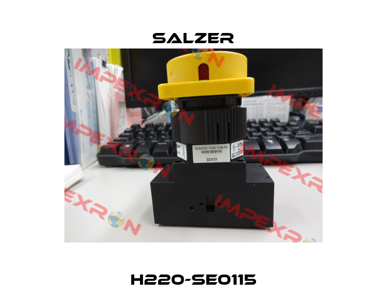 H220-SE0115 Salzer