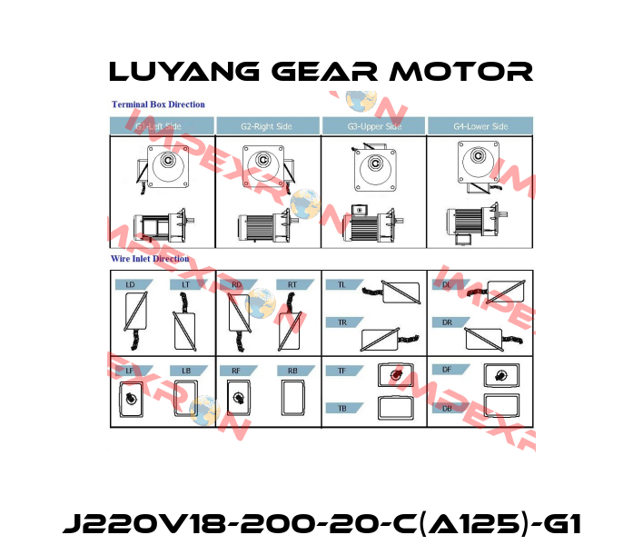 J220V18-200-20-C(A125)-G1 Luyang Gear Motor