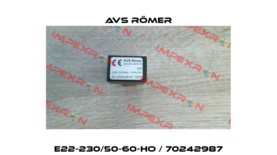 E22-230/50-60-HO / 70242987 Avs Römer