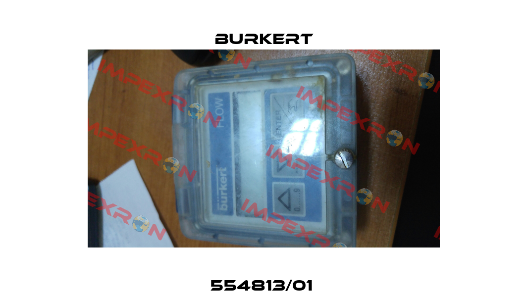554813/01  Burkert