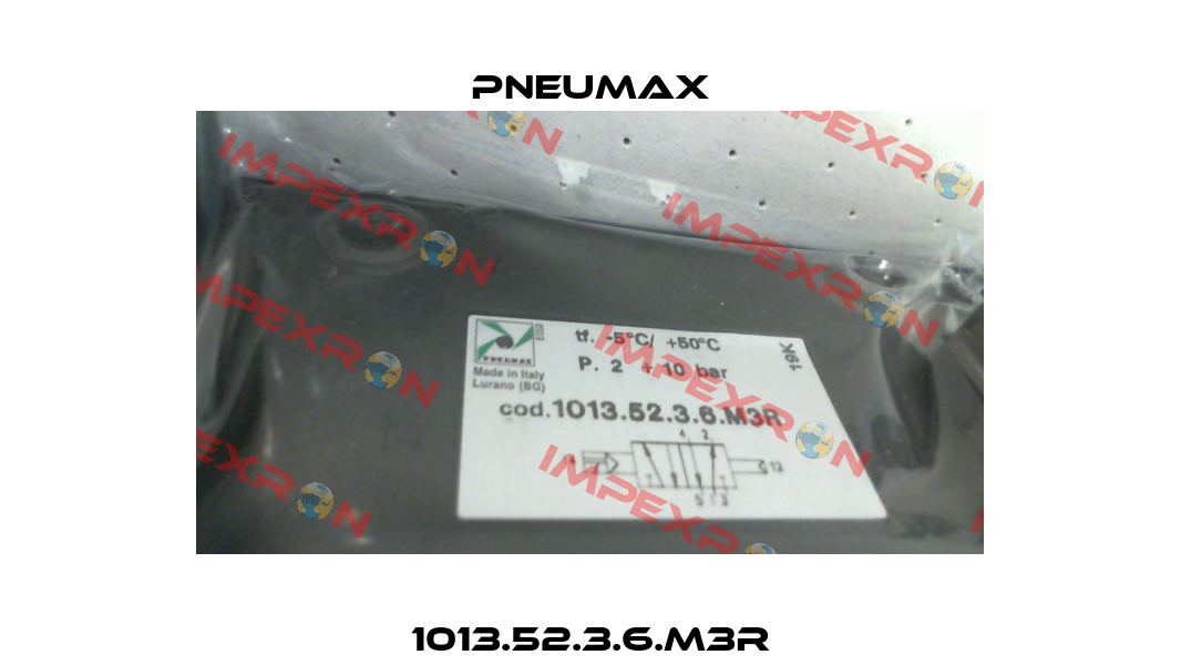 1013.52.3.6.M3R Pneumax