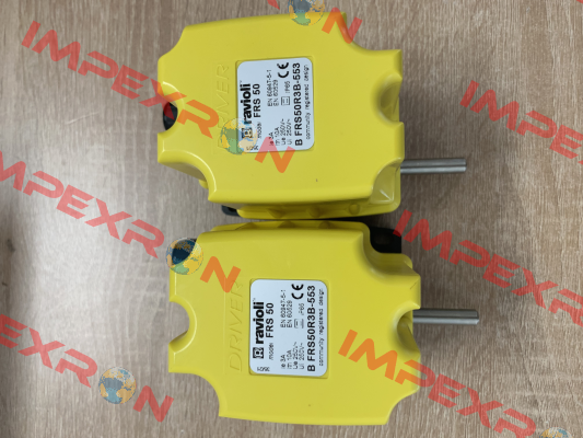 BFRS50R3B-553 Ravioli