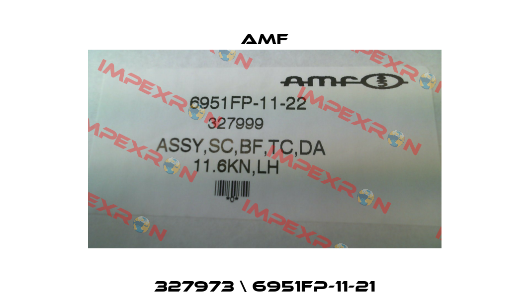 327973 \ 6951FP-11-21 Amf